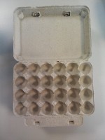 Caserola oua Prepelita