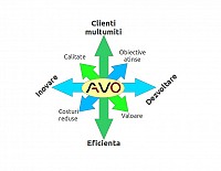 Consultanta cresterea performantelor operationale