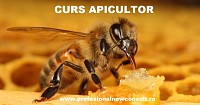 Curs Apicultor