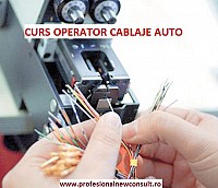 Curs Confectioner Cablaje Auto