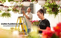 Curs Floricultor peisagist