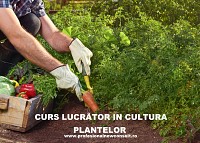 Curs Lucrator in Cultura Plantelor