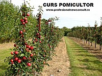 Curs Pomicultor