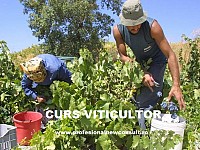 Curs Viticultor