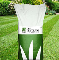 Gazon Luxgrass Sport DLF Trifolium