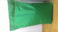 Gazon universal Luxgrass sport DLF Trifolium , sac 10 kg