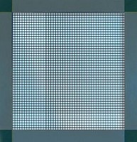 Plase insecte cu rama fixa