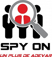 Investigatii persoane juridice