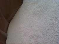 GRANULE LDPE alb si transparent