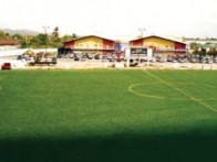 Mentenanta gazon sintetic - Champion S Pro MX