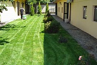 Mentenanta, intretinere spatii verzi private