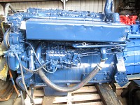 Motor de incarcator Hanomag 55D