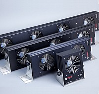 Multisuflanta antistatica Fraser 2054