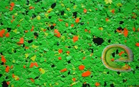 Pardoseli epoxidice decorative