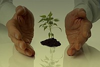 Studiu de evaluare adecvata