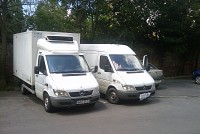 Transport frigorific marfa