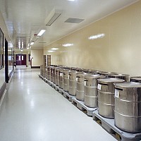 Vospitorii speciale pentru pereti
