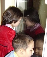 Geamuri termopane Guardian