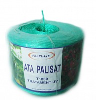 Ata palisare legume