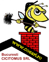 Servicii Cosar