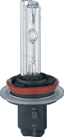 Bec Xenon H11/8000K BAV-XK L11