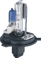 Bec Xenon +Halogen/8000K BAV-XK L04