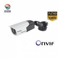 Camera IP 2.1MP DOWSE DSHD8312