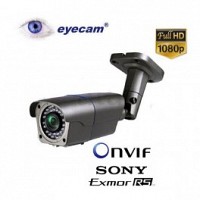 Camera IP Full HD 1080P Eyecam EC1104