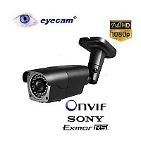 Camera IP Full HD 1080P Eyecam EC1104X