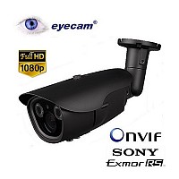 Camera IP Full HD 1080P Eyecam EC-1105