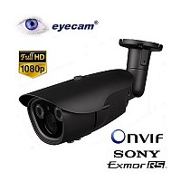 Camera IP Full HD 1080P Eyecam EC1105X
