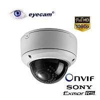 Camera supraveghere IP Full HD Eyecam EC1101