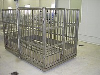 Cantar animale mari - Cantare Electronice