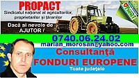 Consultanta si dezvoltare antreprenoriala