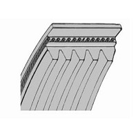 Curea alternator 1,4/1,6 MPI cu servo si cu a/c Logan BAV-14