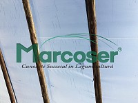 Folie profesionala aditivata de acoperire 180 microni