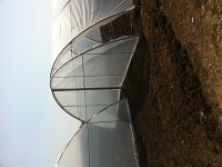 Folie solar tratata UV