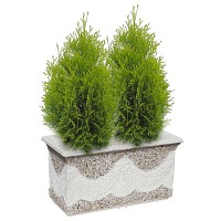Jardiniere