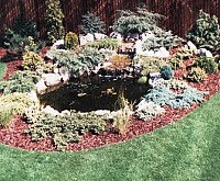 Iazuri si cursuri de apa