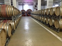 Pardoseli industriale din beton si rasini