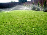 sisteme de irigatii gradini