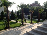 trepte granit