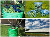 Saci si huse pentru ambalarea si transportul fructelor