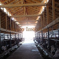 ferme animale