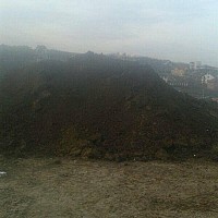 pamant negru