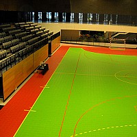 constructii sali sport