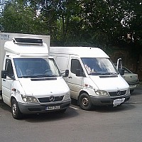 transport camioane frigorifice