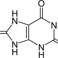 acid uric