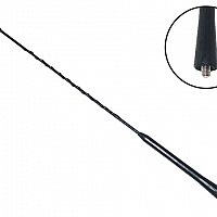 antena auto