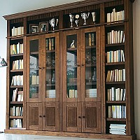 biblioteci lemn